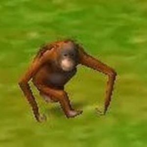 Meet your Posher, Astro